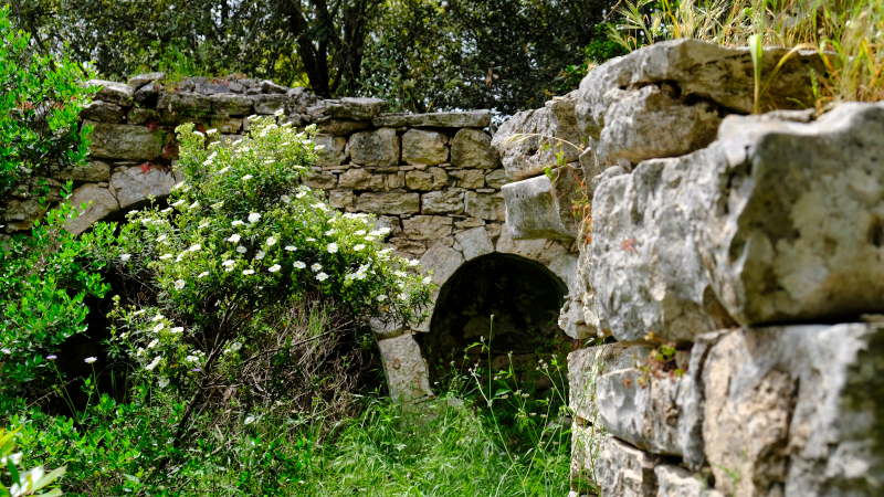 2025_05_06_134329_apulien-2025.jpg - Wandern im Bosco delle Pianelle