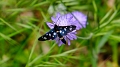 2025_05_06_134250_apulien-2025