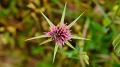 2025_05_08_083448_apulien-2025