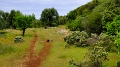 2025_05_08_094246_apulien-2025