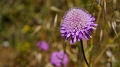 2025_05_12_122302_apulien-2025