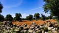 2025_05_13_132722_apulien-2025