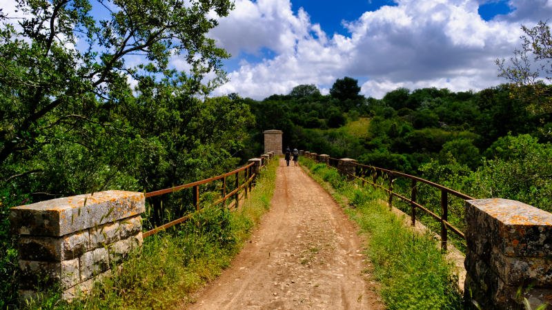 2025_05_17_095514_apulien-2025.jpg - Wanderung auf ehemailger Bahnstrecke
