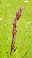 2025_05_08_094026_apulien-2025
