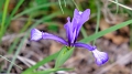 2025_05_14_121014_apulien-2025