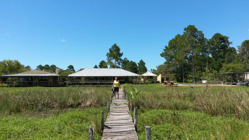 2015-02-08_14-38-50_argentinien-2015.jpg - Irupr Lodge - unter diesem Steg lauern Kaimane!