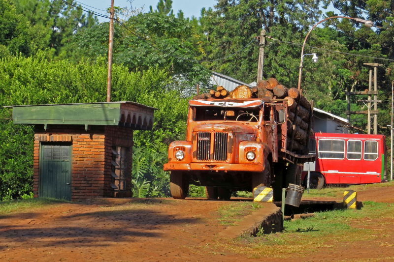 2015-02-09_17-15-42_argentinien-2015.jpg - Besichtigung der Mateplantagen und Verarbeitung