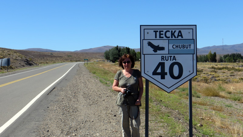 2015-02-15_11-53-22_argentinien-2015.jpg - Ruta 40