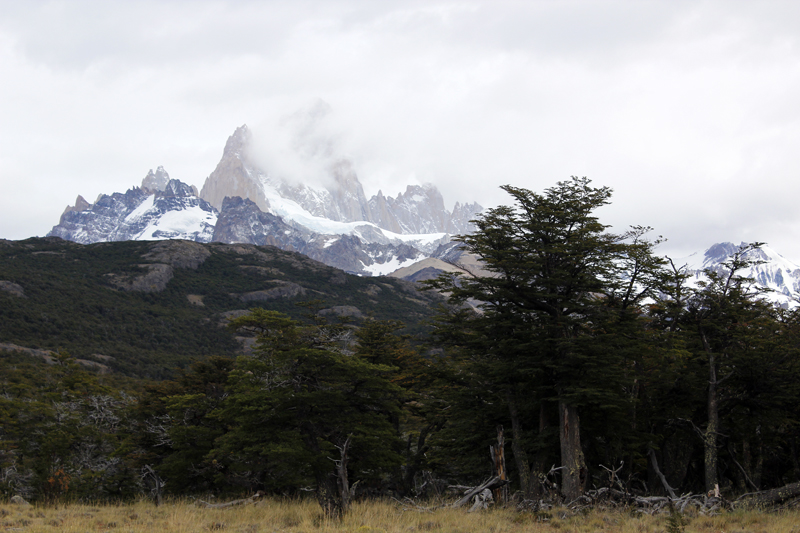 2015-02-18_10-05-04_argentinien-2015.jpg - Wanderung zum Aussichtspunkt am Loma del Pliegue Tumbado