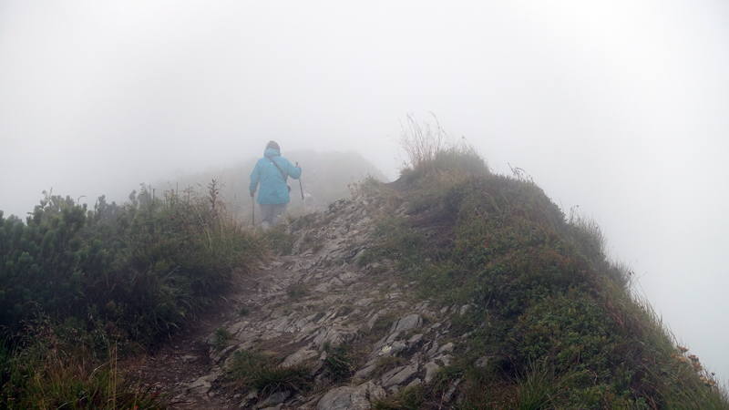 20200831_115220_malafatra_broumovska_2020.jpg - Aufstieg zum Pekelnk (1609 m)                               