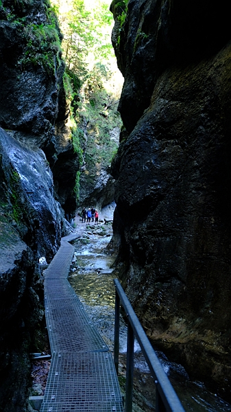 20200904_101504_malafatra_broumovsko_2020.jpg - In der Schlucht Nove Diery