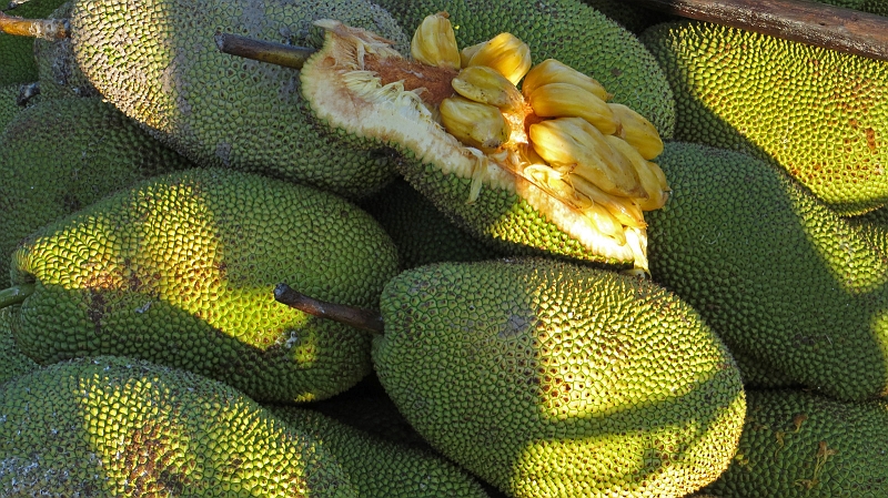 6-mekong-15.jpg - Durian (Stinkfrucht)