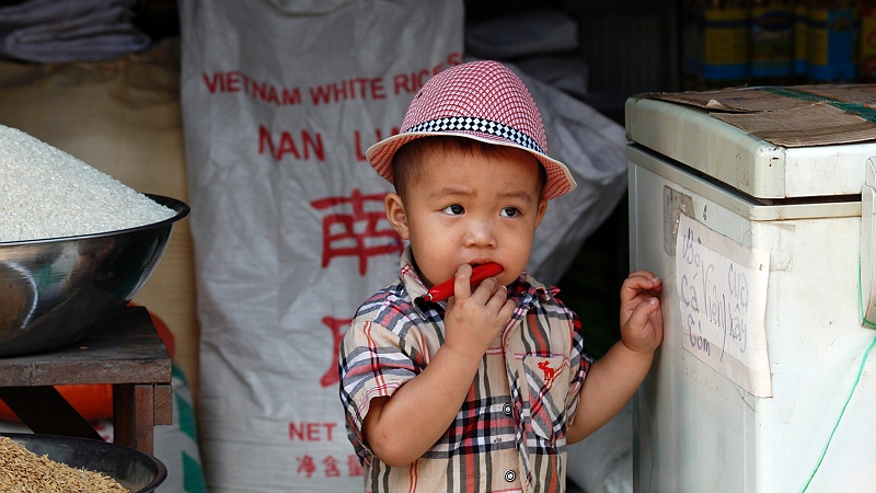 6-mekong-19.jpg - Auf einem sehr exotischen Markt