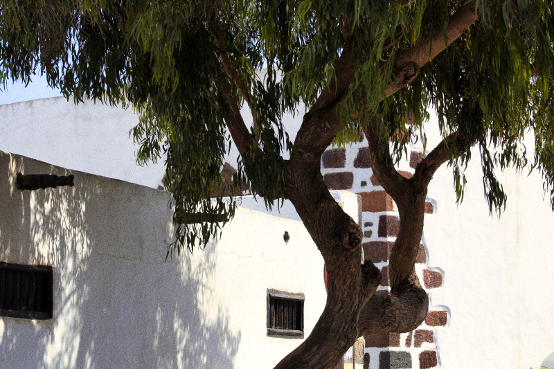 2021_10_18_121620_lanzarote-2021.jpg - Bummel durch das sehenswerte Teguise im Zentrum der Insel