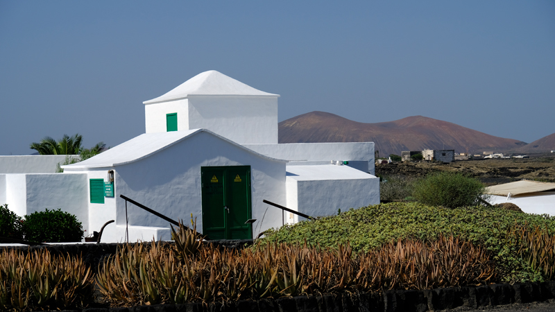 2021_10_18_132327_lanzarote-2021.jpg - Ausflug ins Weinanbaugebiet La Geria