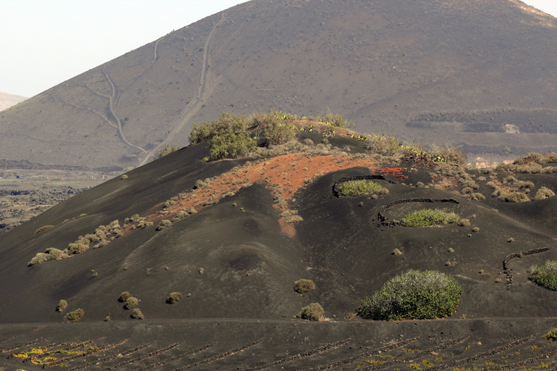 2021_10_18_135009_lanzarote-2021.jpg - Ausflug ins Weinanbaugebiet La Geria