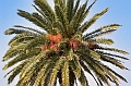2021_10_18_124447_lanzarote-2021